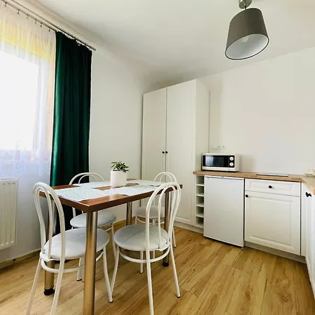 Apartamenty U Ptaszka Zakopane Exterior photo