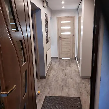 Apartamenty U Ptaszka Zakopane Exterior photo
